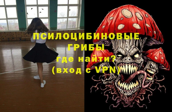 кокс Бородино