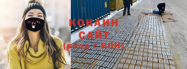кокс Бородино